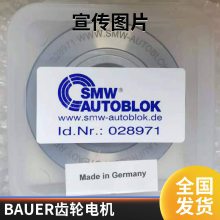 铸铁DNF05LA4/SP选型指导PNF05LA30-G/SP欢迎咨询欧沁***bauer电机