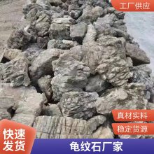 庭院大型奇石 轩阳 异形龟纹石 公园装饰景观石 任意挑选
