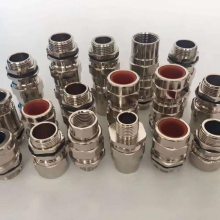 BDM-M20*1.5不锈钢防爆填料函-铠装防爆电缆密封接头