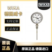 73ʽ¶ȼ ϵе¹WIKA