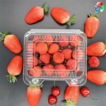 PET糕点盒 草莓盒 鸡蛋托 水果拼盘 透明