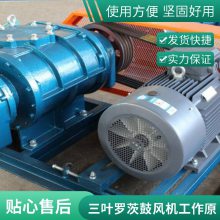 三叶罗茨风机罗负压风机污水处理鱼塘养殖增氧机增氧泵高压鼓风机