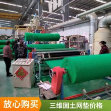 麦克加筋垫 EM3三维植被网 世杰植草固土网垫 用于促植物生长