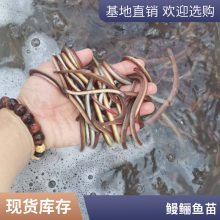 糡 ڰʵ ˮƷʺ ͻ