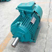 õ綯 YZ첽綯 YZ132M1-6-2.2KW