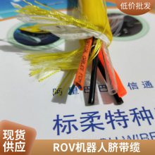 ˮ͸ʴROVˮ»ר㸡Ư