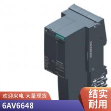 6AV6648-0DE11-3AX0 S7-200SMART1000 IE 10紥