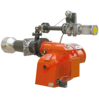 BGN200P/BGN200DSPGNȼȼ