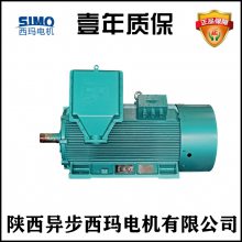 YB2-5003-6/710KW/6000VѹSKFУ