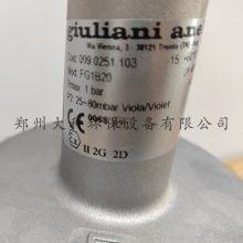 giuliani anello FG1B20_FG1B15ȼѹ