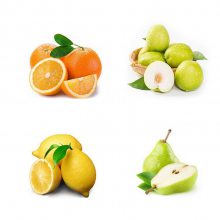 װе ˮȫԶװ ๦ܴ