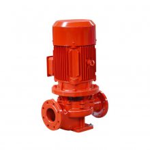 XBD4.0/200-300Lʽ ˨ܱùܵı