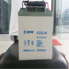 6-CNJ-10012v100ah·̫