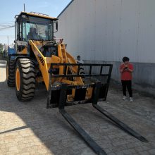 国标装载机变叉车铲车秒变装载机工地出租多样工作用