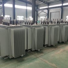 ˫S11-1000KVAͽʽѹ 6kv 11kvֵѹֶ֧