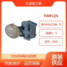 TWIFLEX制动器 盘式制动钳GMX 气动抱闸【提供更大的刹车片面积】