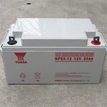 YUASA ǳNP65-12άǦ ǳ12V65AH UPSרõ