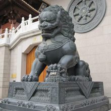 加工汉白玉石狮子 传统卷发石狮 天安门狮子摆件