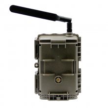 ŷῨOnick AM-38Ұ256Gⴥ ɴƽ̨
