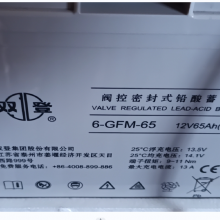 ˫ ܷʽǦά 6-GFM-65C20