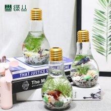 ָ ֲ 칫ֲ