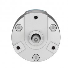 FESTO˹ ڶ11911 DSR-12-16-25-32-40-180-P 11912