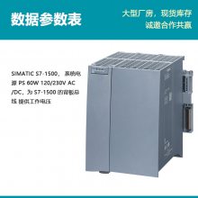 ԭװPLC  S7-1500Դģ6ES7507-0RA00-0AB0