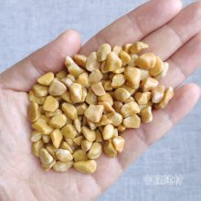 米黄透水石子 黄色胶粘石透水路面石子 露骨料透水混凝土石子厂