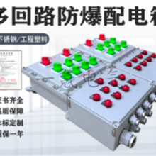 多回路防爆照明配电箱220V380V印染化工厂 粉尘隔爆车间动力控制柜ⅡBⅡC