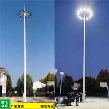 SY百色隆林LED太阳能路灯丨厂家直销特色庭院灯杆