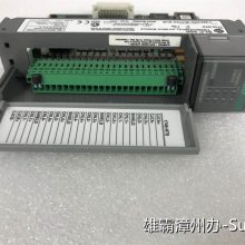 AB ģ�鹩Ӧ 1747-ACNR15