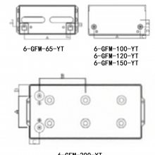 ƻ6-GFM-200-YT 12V200AHվ ֱ UPSԴ