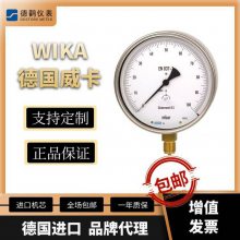 WIKAĤѹEN837-1610.20.063 100mbar G1/40.6%