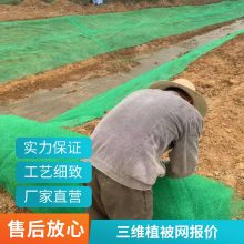 世杰塑料EM4三维植被网 草皮护坡固土网垫 14mm 16mm厚
