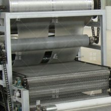 丽星水晶粉皮生产流水线日产量1-3吨 大型粉皮机网带传送