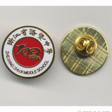 园币冲压铜材质 珐琅礼品 logo定制 设计徽章图按