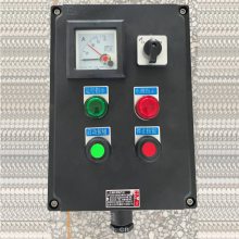 BZC-A2D2B1K1G防爆操作柱-两灯两按钮一转换开关一电流表(250/5)