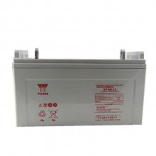 ǳ12V100AH YUASA NP100-12ܷʽά