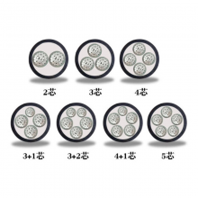 ʴ  YJLV 0.6/1KV ѹ 4*50+1*25mm? о