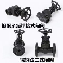  61H/J61Y-800LB ͸ֳв庸ӽֹ ̼A105ѹ