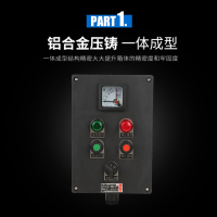 LCZ8050-B2D2L ExdIICT6