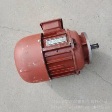 ZDZDY綯«綯«ͭ