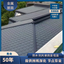 自建房 屋面翻新 朋莱金属复合瓦 施工便捷 防水抗风揭