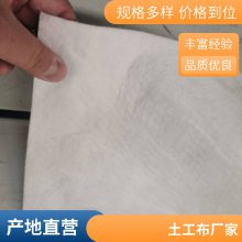 250g土工布 长丝纺粘针刺防渗布 长源批发 聚酯长丝 无纺布