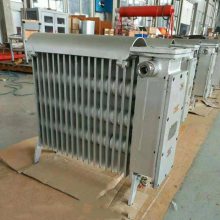 金煤 防爆取暖器 密闭式电热油汀BDN58-2000W1 220V防爆油汀移动轮