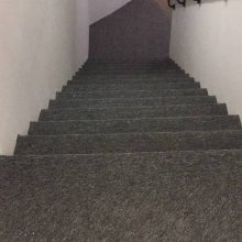 ڻ¥̺ͨ巿̺