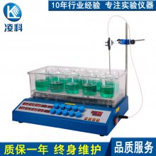 ZNCL-S-10G数显十点磁力搅拌加热锅 多点磁力搅拌器