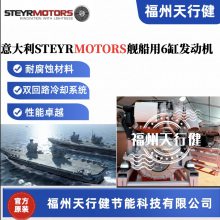 ÷Z002060-2нṩSTEYRMOTORS׼SE236E40