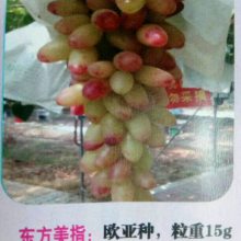 ۸硢糧ҵ绰ϵ