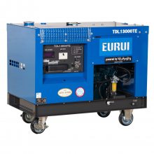 EURUI7.2/8.3KVA380V˫׾ˮƶʽͷ